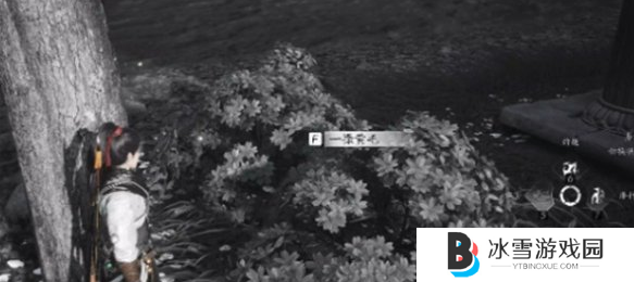 燕云十六声失窃的头坛饮任务怎么做