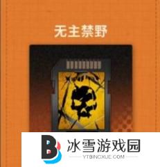 新月同行荔倾卡带怎么搭配
