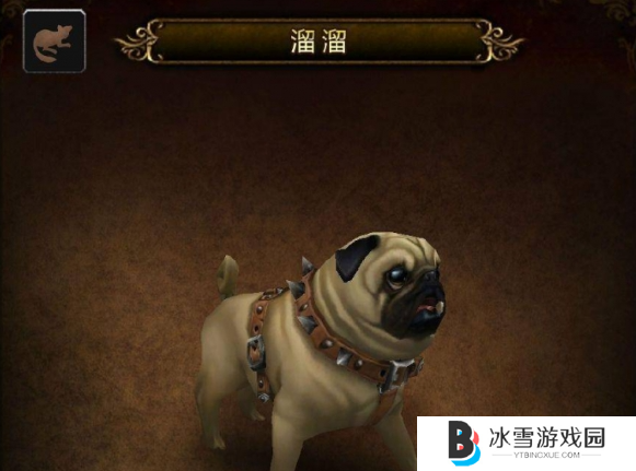 魔兽世界宠物溜溜怎么获得